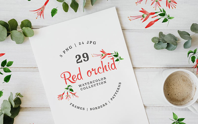 Czerwona Orchidea Akwarela PNG - ilustracja