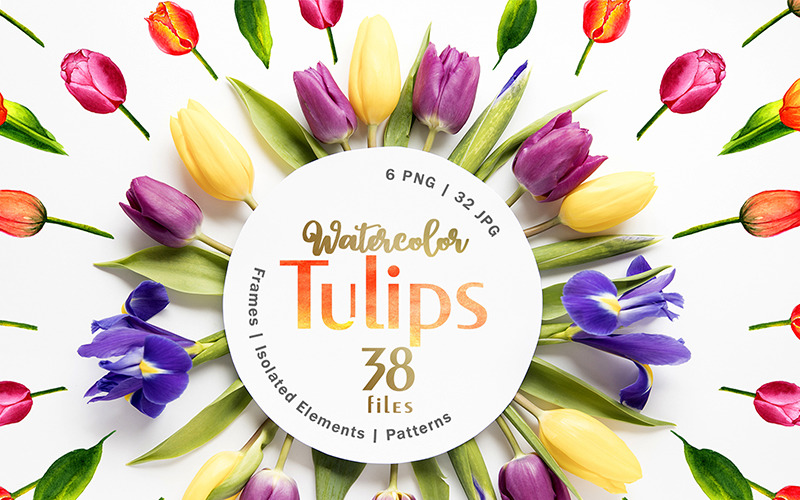 Tulipany Akwarela Czerwony Png - Ilustracja