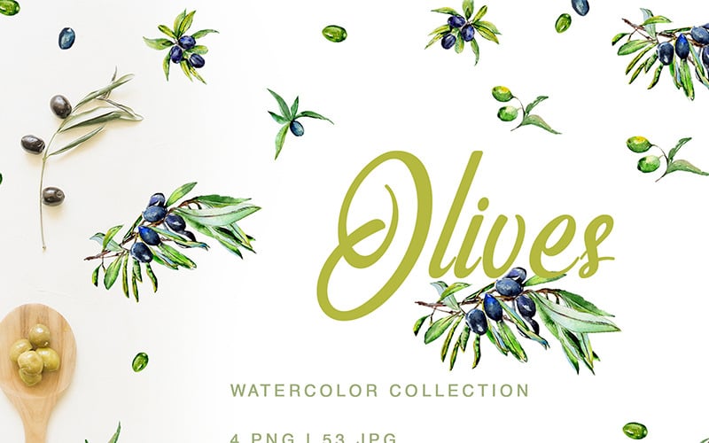 Зелені оливки акварель PNG - ілюстрація
