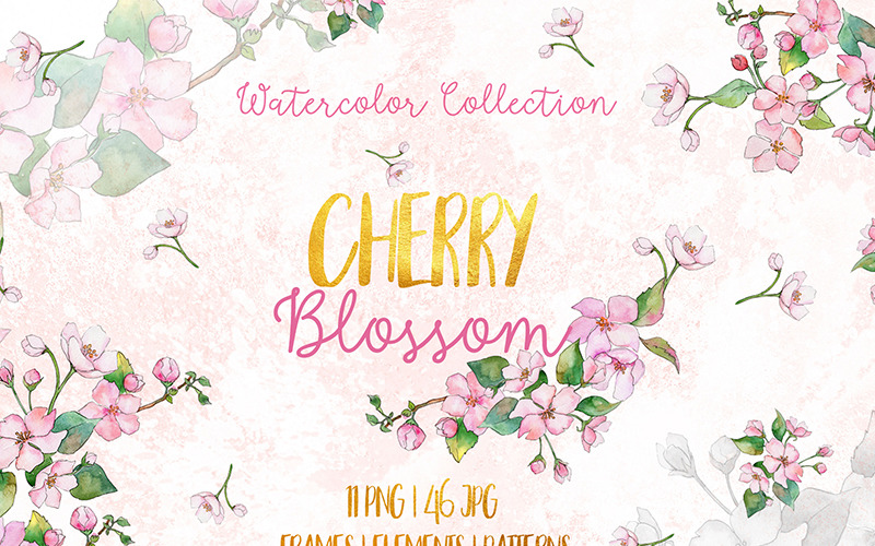 Cherry Blossoms Watercolor Png - Ilustração