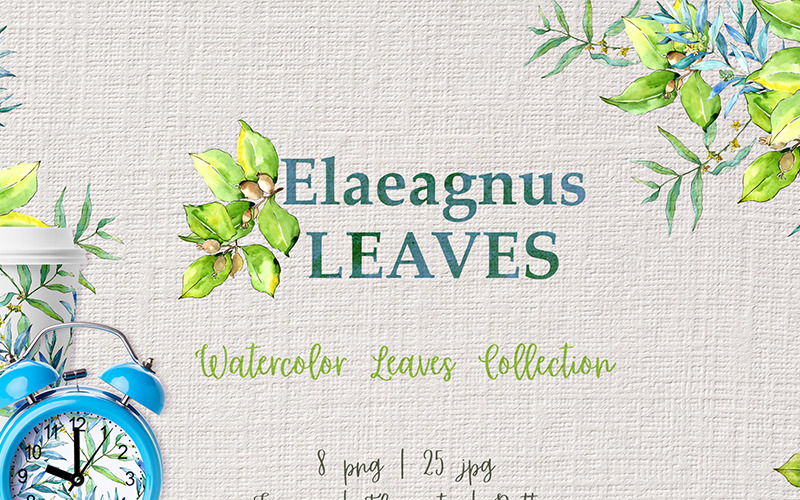Download Иллюстрация "Elaeagnus Leaves Watercolor Png - Illustration" / Elaeagnus Leaves Watercolor Png - Illustration - Иллюстрация на тему графика elaeagnus leaves watercolor png