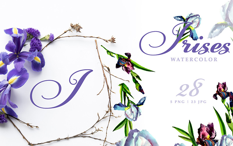 Download Иллюстрация "Irises Blue Watercolor Png - Illustration" / Irises Blue Watercolor Png - Illustration - Иллюстрация на тему графика irises blue watercolor png