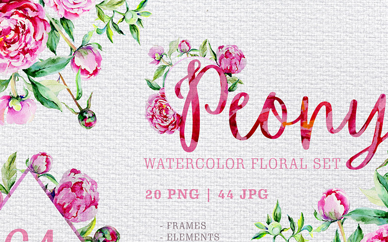 Peony Pink Png - Illustrazione