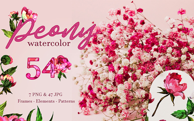 Download Иллюстрация "Peony Watercolor png - Illustration" / Peony Watercolor png - Illustration - Иллюстрация на тему графика peony watercolor png