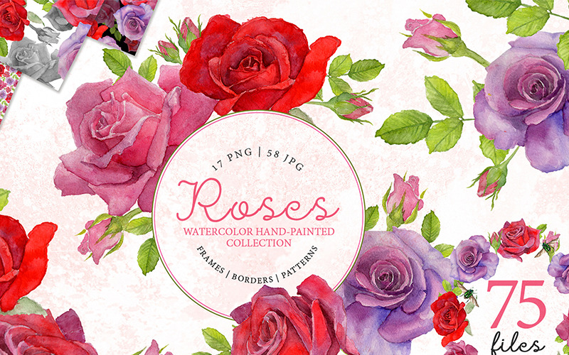 Rose rouge élégante aquarelle png - Illustration