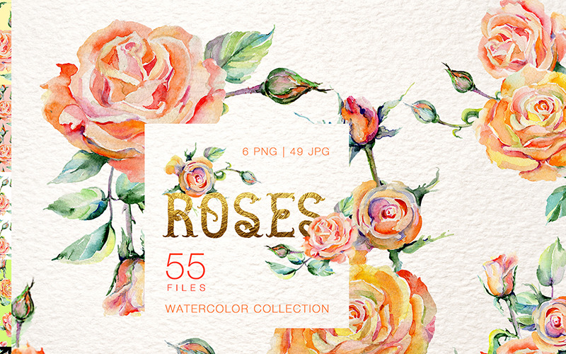 Snygg Rose Watercolor png - Illustration