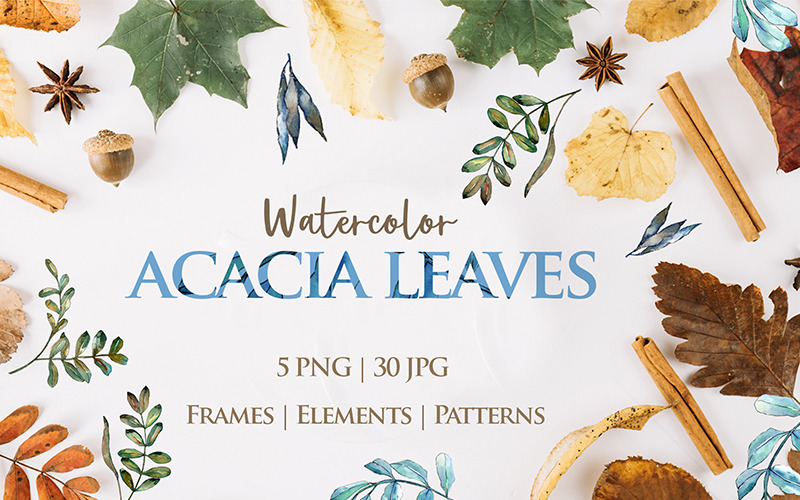Download Иллюстрация "Acacia Leaves Watercolor Png - Illustration" / Acacia Leaves Watercolor Png - Illustration - Иллюстрация на тему графика acacia leaves watercolor png