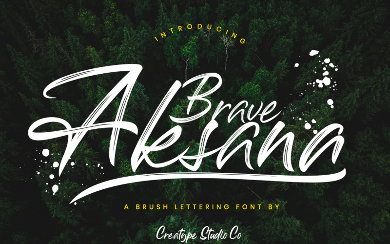 Download Шрифт "Aksana Brush Cursive Font" / Aksana Brush Cursive Font - Шрифт на тему графика handwriting,brush,handwritten,script,casual,natural,style,branding,stylish,feminine,girly,elegant,fashionable,writing,written,sign,business,brand,photography,design