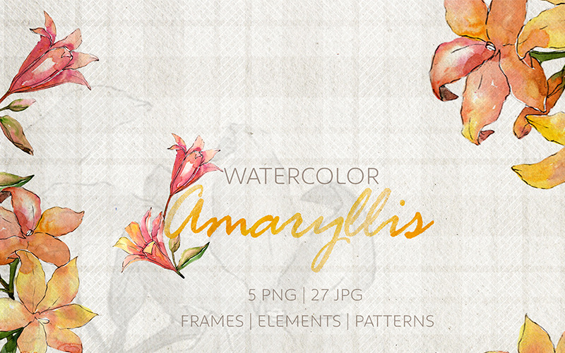 Amaryllis Watercolor png - Illustration