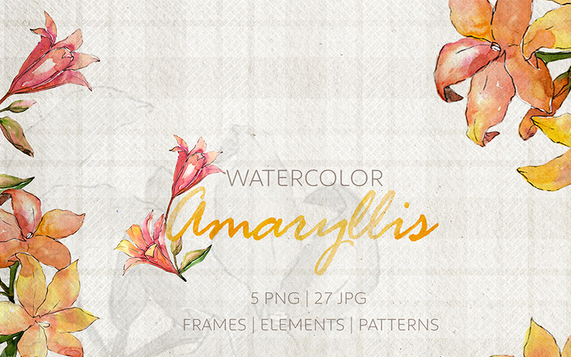 Amaryllis Watercolor png - Ilustração