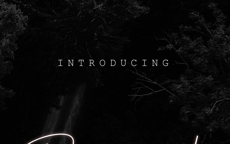 Download Шрифт "Budapest  Family Font" / Budapest  Family Font - Шрифт на тему графика cursive font script blogging web design handwritten illustration wedding invitation elegant luxury lovely branding packing modern