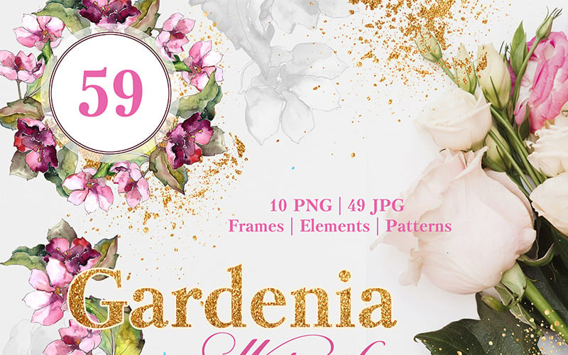 Gardenia Acuarela Png - Ilustración