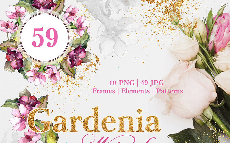 Gardenia aquarel Png - illustratie