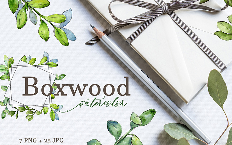 Download Иллюстрация "Boxwood Watercolor png - Illustration" / Boxwood Watercolor png - Illustration - Иллюстрация на тему графика boxwood watercolor png
