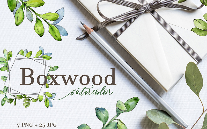 Boxwood Watercolor png - Ilustração