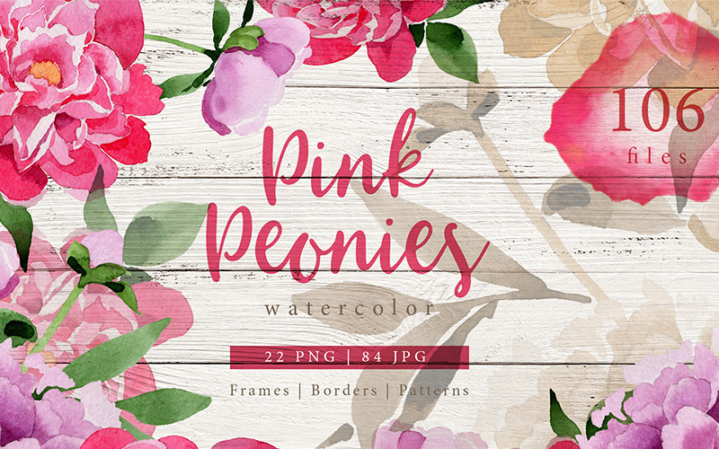 Pink Peonies Aquarela png - Ilustração
