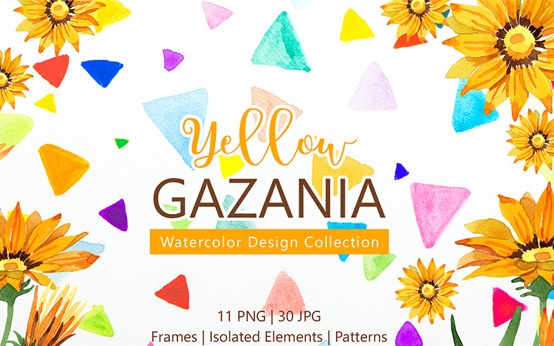 Acuarela De Gazania Amarilla Png - Ilustración