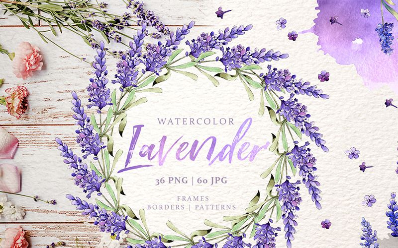 Lavendel akvarell png - Illustration