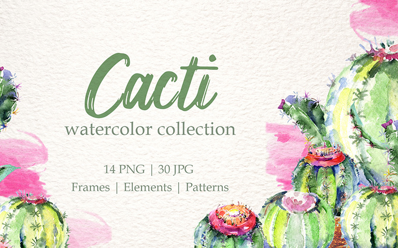 Cacti Watercolor Png - Illustration