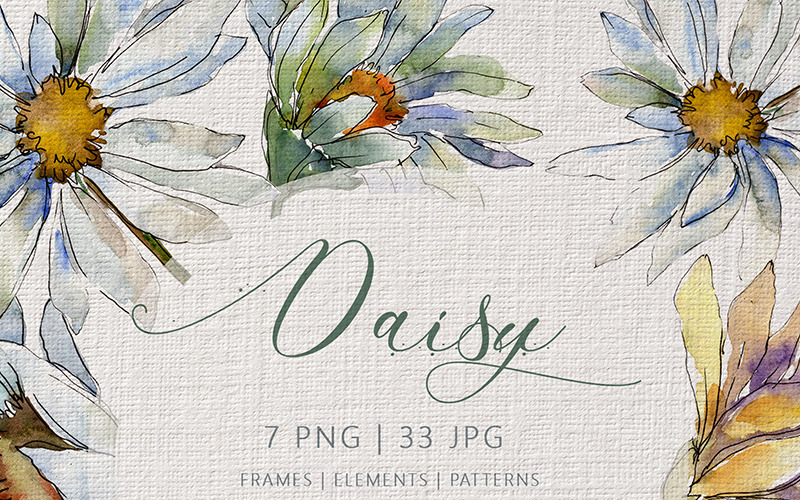 Download Иллюстрация "DAISY Watercolor png - Illustration" / DAISY Watercolor png - Illustration - Иллюстрация на тему графика daisy watercolor png