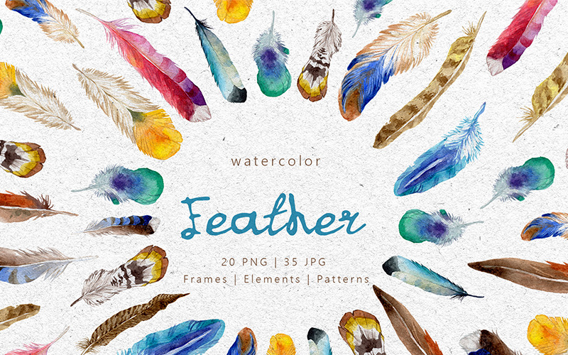 Feather Watercolor png - Illustration