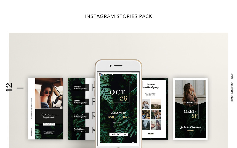 FERNS Instagram Stories Pack Modèle de médias sociaux