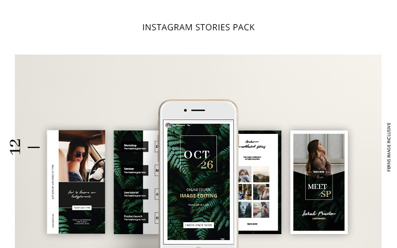 Download Шаблон для соцсетей "FERNS Instagram Stories Pack Social Media Template" / FERNS Instagram Stories Pack Social Media Template - Шаблон для соцсетей на тему графика social media template instagram story stories autumn fall winter dark travel traveling clean modern event workshop announcement multipurpose mood board