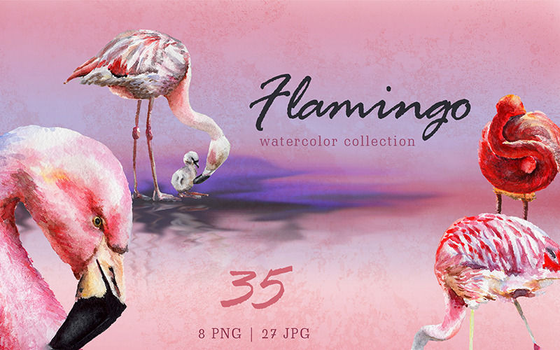 Flamingo Akwarela PNG - ilustracja
