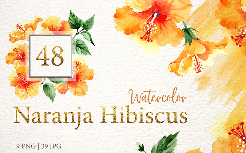 Download Иллюстрация "Naranja Hibiscus Watercolor Png - Illustration" / Naranja Hibiscus Watercolor Png - Illustration - Иллюстрация на тему графика naranja hibiscus watercolor png