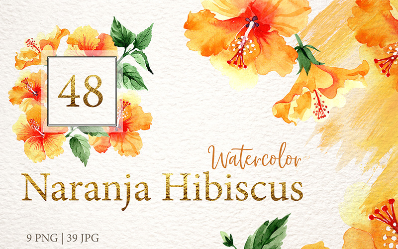 Naranja Hibiscus Watercolor Png - Ilustração