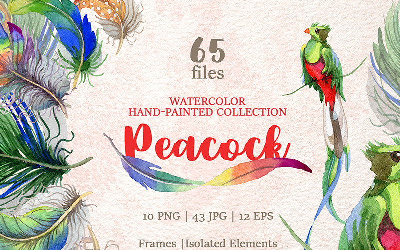 Download Иллюстрация "Peacock Watercolor Png - Illustration" / Peacock Watercolor Png - Illustration - Иллюстрация на тему графика peacock watercolor png eps