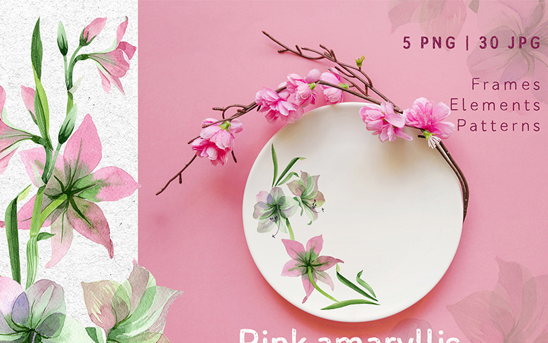 Pembe Nergis Zambağı Png - illüstrasyon