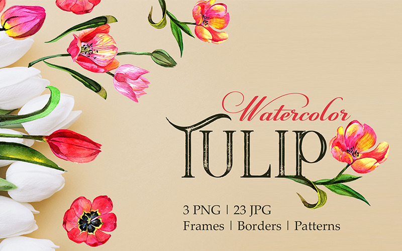 Tulip Red Watercolor Png - Illustration