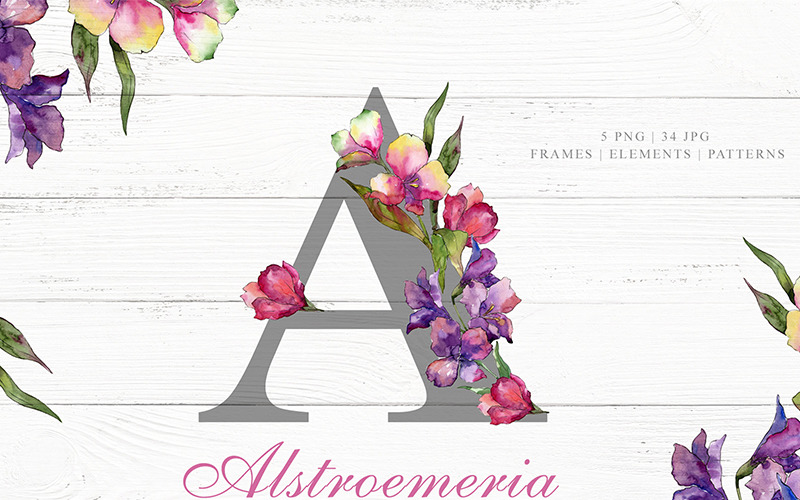 Download Иллюстрация "Alstroemeria Watercolor Png - Illustration" / Alstroemeria Watercolor Png - Illustration - Иллюстрация на тему графика alstroemeria watercolor png