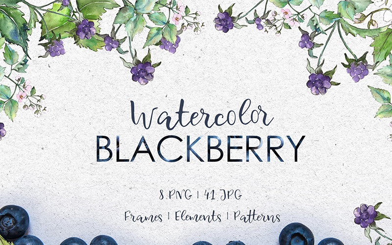 Blackberry Aquarell png - Illustration