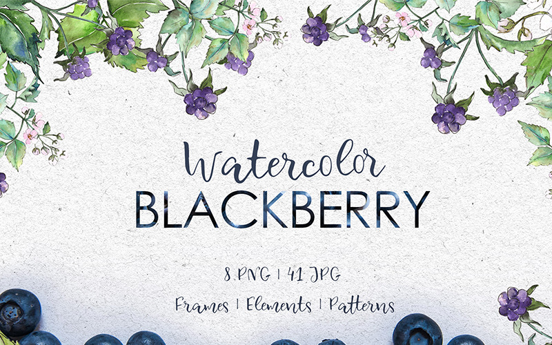 Blackberry Watercolor png - Ilustração