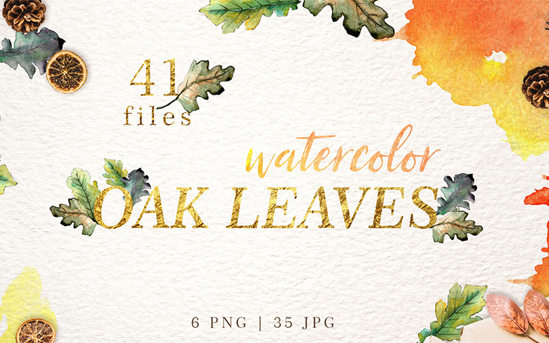 Дубовые листья акварель png - Иллюстрация