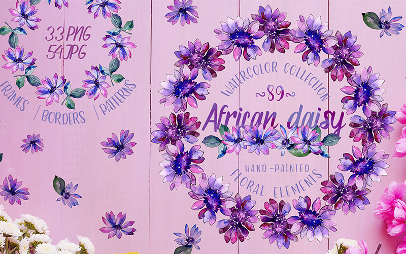 African Daisy Watercolor png - Illustration