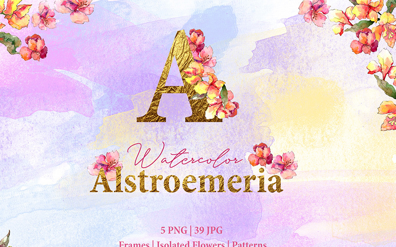 Alstroemeria Watercolor Png - Illustration