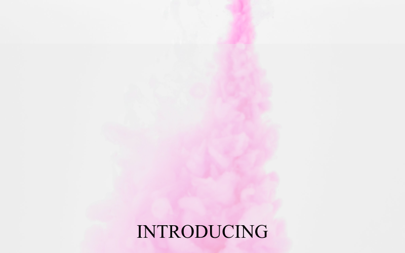 Download Шрифт "Shintelline Signature Cursive Font" / Shintelline Signature Cursive Font - Шрифт на тему графика fonts elegant modern script signature design type typography logotype handwritten best seller font adobe logo illustration