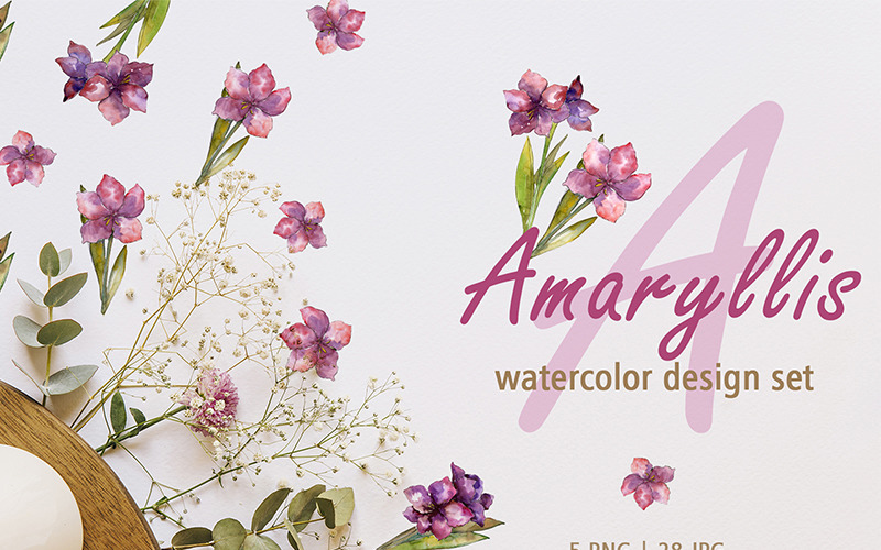 Amaryllis Design készlet akvarell Png - illusztráció