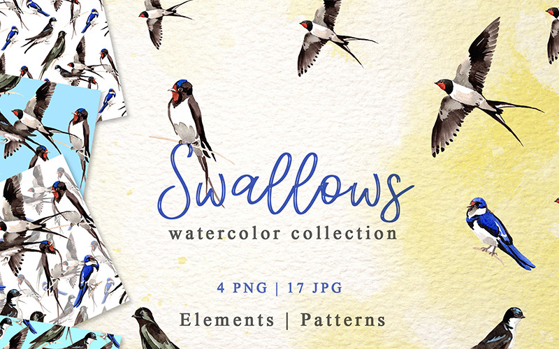 Swallows Watercolor png - Ilustração