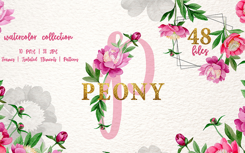 Pink Peony Czułość Akwarela PNG - ilustracja