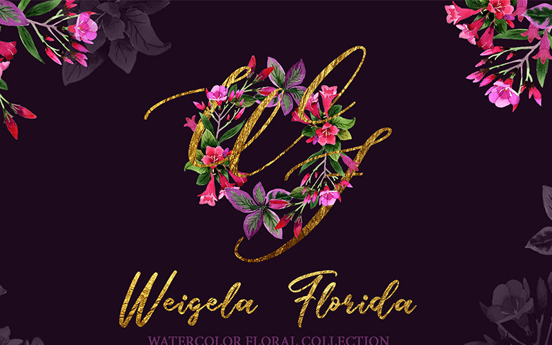Download Иллюстрация "Weigela Florida Watercolor png - Illustration" / Weigela Florida Watercolor png - Illustration - Иллюстрация на тему графика weigela florida watercolor png