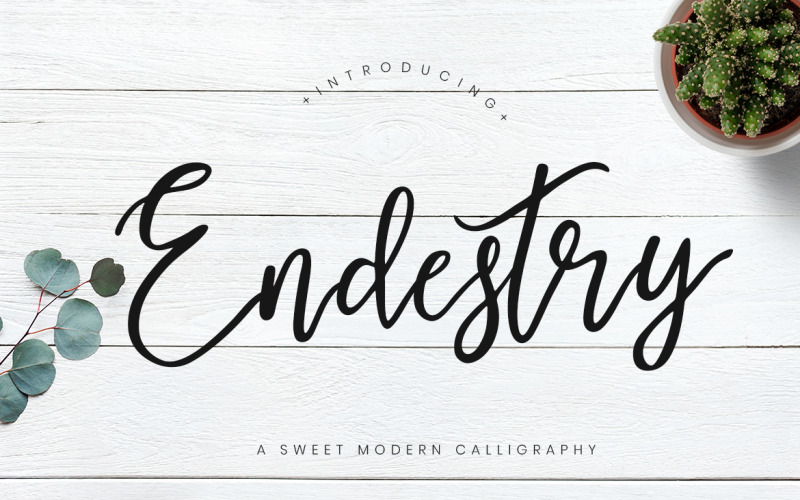 Carattere di calligrafia moderna Endestry