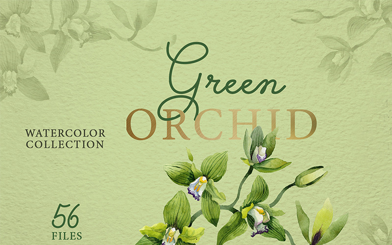 Download Иллюстрация "Green Orchid Watercolor png - Illustration" / Green Orchid Watercolor png - Illustration - Иллюстрация на тему графика green orchid watercolor png