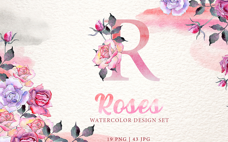 Розовые розы акварель PNG - Иллюстрация