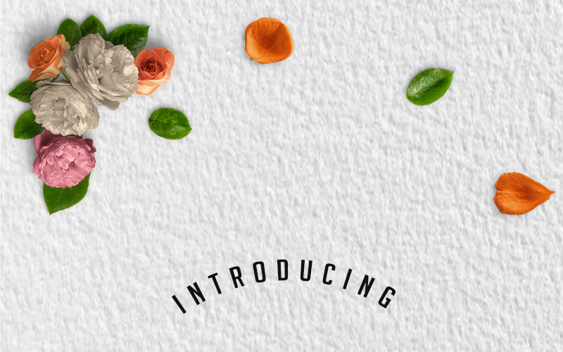 Download Шрифт "Sellebeew Font" / Sellebeew Font - Шрифт на тему графика font handwrite caligraphy design letter script