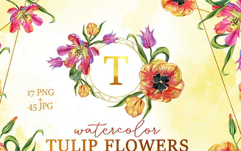 Super Tulipan Czerwone Kwiaty Akwarela PNG - ilustracja