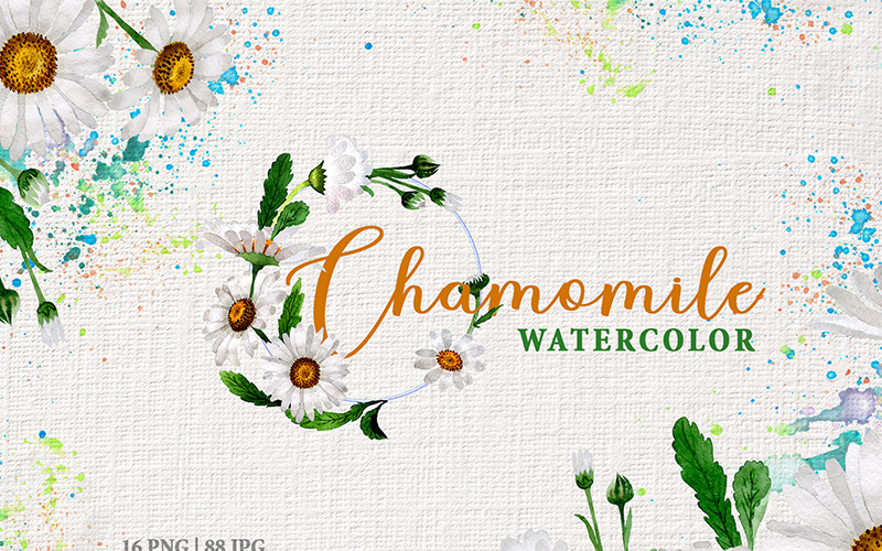 Download Иллюстрация "Chamomile Watercolor Png - Illustration" / Chamomile Watercolor Png - Illustration - Иллюстрация на тему графика chamomile watercolor png
